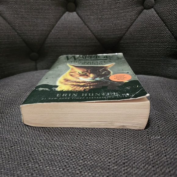 Warriors: Super Edition Tigerheart's Shadow - Picture 7 of 12